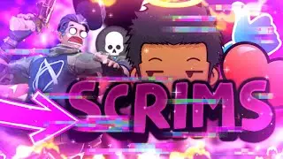 These scrims are for big boys(creative destruction)