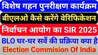 बीएलओ (BLO) करेंगे घर-घर सर्वे , विशेष गहन पुनरीक्षण कार्यक्रम 2025 में BLO को कैसे करना है सर्वे 