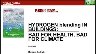 Webinar: Hydrogen Blending - A Dangerous Pipe Dream