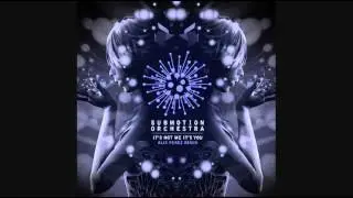 Submotion Orchestra - Its Not Me Its You (Alix Perez Remix)