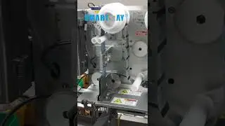Smart Weigh Jerky Packaging Machine  #machine #packingmachine #factory #packaginglines