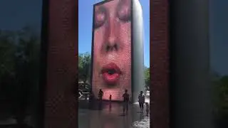 Chicago Face
