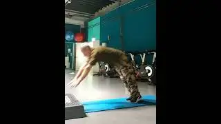 #fitimalter #motivation #gymshark #pushups