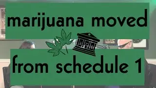 EP 289 - The Legalization Backlash, Will Your State Repeal Legal Cannabis in 2026?