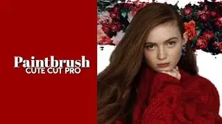 Paintbrush Effect || CCP
