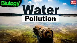 Water Pollution | Pollution - Sources & Effects | Part 1 | Home Revise
