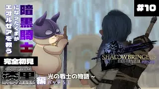 【完全初見  5.3】光の戦士の物語～ #10 #ff14  #初心者 #漆黒のヴィランズ   #ridill 【ネタバレあり】