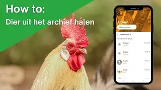 De Anymal App | How to: Dier uit archief halen