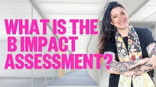 What Is The B Impact Assessment?