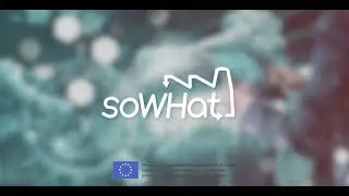 SO WHAT Supporting new opportunities for waste heat and cold valorisation towards EU decarbonisation