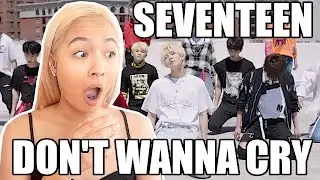 SEVENTEEN(세븐틴) - 울고 싶지 않아 (Don't Wanna Cry) REACTION