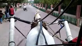 Horse cart riding at Tajmahal | Agra