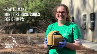 How to Make Mini Fire Hose Cube Enrichment for Chimpanzees