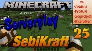 SebiKraft Serverplay [Deu/HQ] #25 - Die m&auml;chtigen Bee-Machines