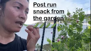 Post run snack from the garden. 5/3/25 garden update.