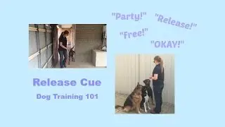 Dog Training 101 - Release Cue - Termination Cue