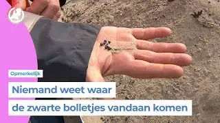 Strand bezaaid met vreemde zwarte plastic korrels