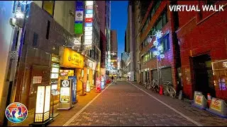 Tokyo Midtown Hibiya & Ginza Winter Illumination 2026 日比谷・銀座 &bull; Night Walk Tokyo Illuminations  4KSDR