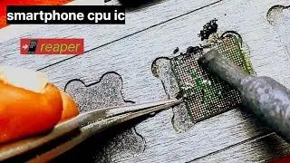CPU IC cleaning and black pest removing #technology #mobile #reaper
