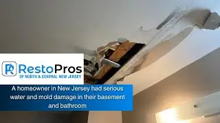 Basement and Bathroom Mold & Water Damage Cleanup | RestoPros of North and Central New Jersey