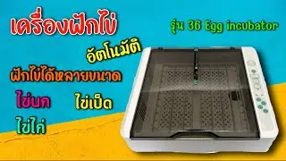 รีวิว เครื่องฟักไข่ รุ่น 36 Egg incubator เหมาะสำหรับฟักไข่นกแก้ว ไข่ไก่ ไข่เป็ด ไข่นกกระทา