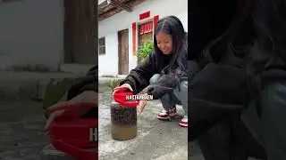 Самогон из Шершня!