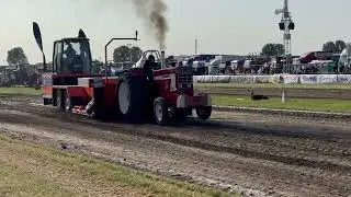 The Red Bunny Halsteren 2023