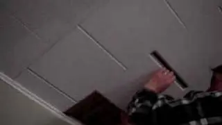 ceiling tiles 101. DIY Do it yourself