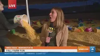 Fun in the corn pit at Rohrbachs Farm