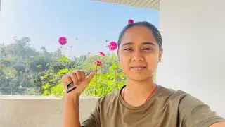 Many beautiful flowers are blooming on the roof of our house