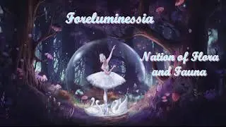 Welcome to Foreluminessia