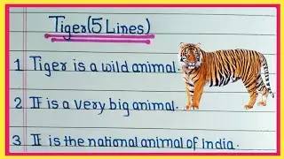 5 lines on tiger in english | Tiger short essay in english | Tiger 5 lines | The Tiger essay  