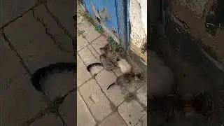 Хочу домой,пустите меня домой.