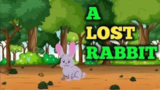 A Lost Rabbit In The Forest - Kids Story