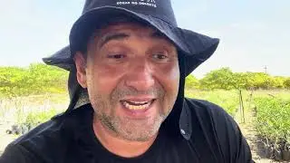 [LOUCURA] Rosas do deserto como obras de arte por apenas 4 r$ 🤯🤯🤯