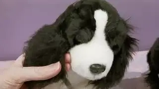 Unboxing An Aurora World Springer Spaniel Plush Dog 🐕❤️
