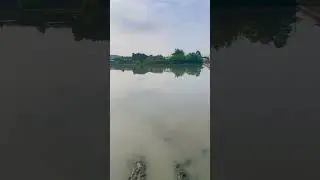 Rice fields in Korea sounds of nature