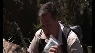 BUSHWALKING AND FIRST AID