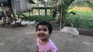 Chunnu and Ducks