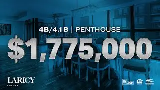 1018 N Larrabee St Unit PH Chicago, IL Laricy Properties Drone Tour Listing Video