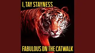 Fabulous On The Catwalk