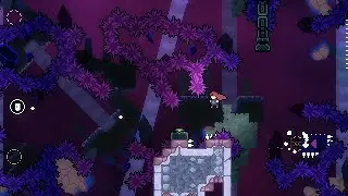 Celeste: Strawberry Jam - E456: One discrete step
