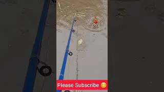 Fishing Video #fishing #shortvideo