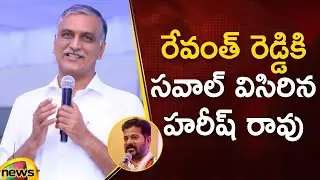 Minister Harish Rao Challenge To TPCC Revanth Reddy | BRS vs Congress | Telangana News | Mango News