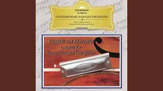 Vivaldi: Concerto per violoncello, orchestra di archi e basso continuo in A Minor, RV 419: II....