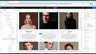 Wix Studio | Wix CMS Presets Will Help You Learn CMS Faster