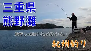 E49 紀州釣り「歳無しは狙わねば釣れない」 25.3.8Sat
