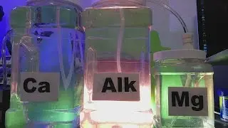 DIY Tip #04 - Dosing Containers