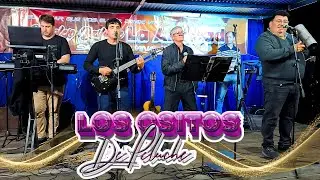 LOS OSITOS DE PELUCHE - 03/5/2025 - COMPLEJO BAILABLE LA AMISTAD