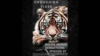 Crouching Tiger   HMS Ep  #7